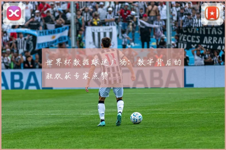 世界杯数据球迷广场：数字背后的狂欢获专家点赞