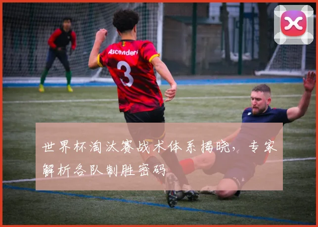 世界杯淘汰赛战术体系揭晓，专家解析各队制胜密码